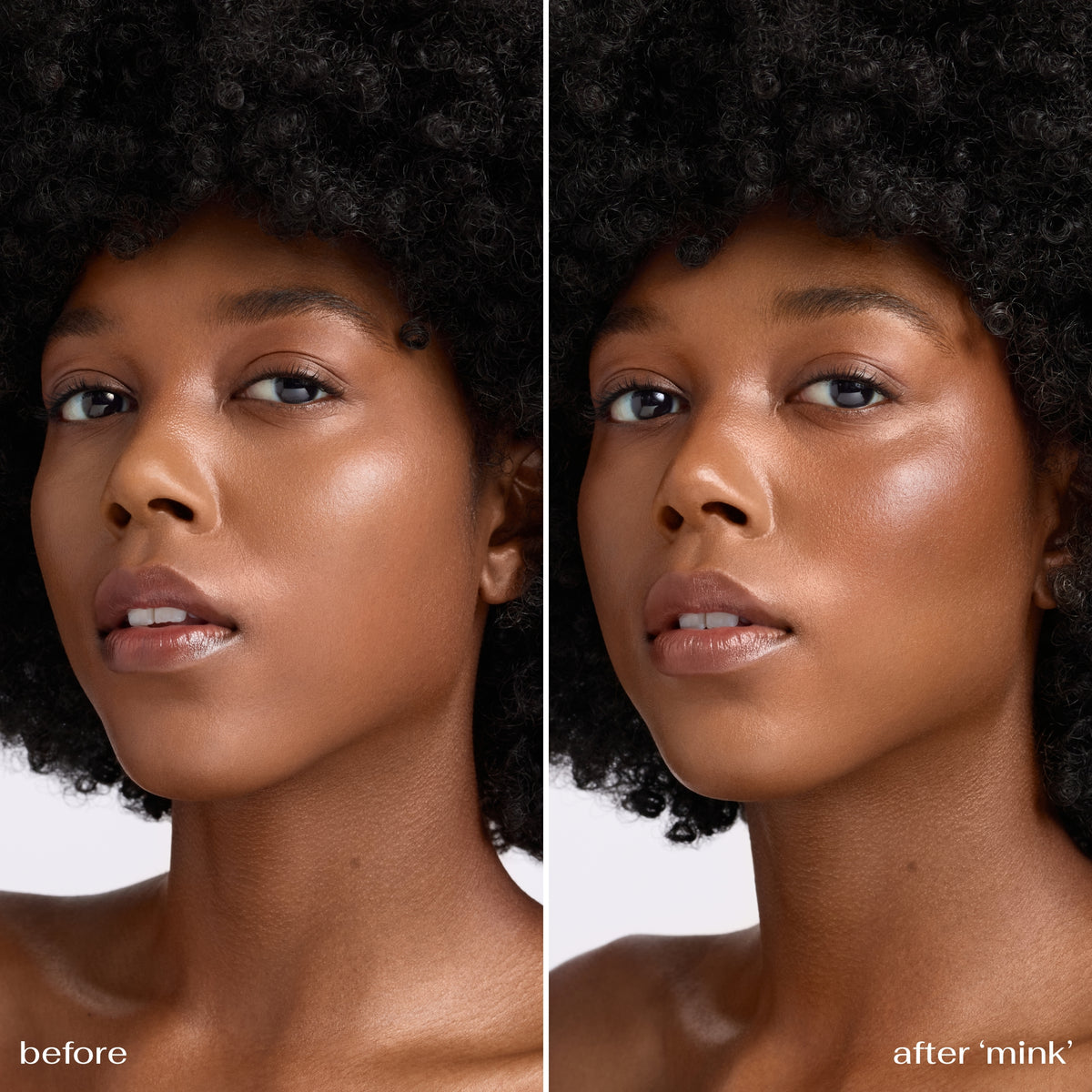 bronze & brush duo