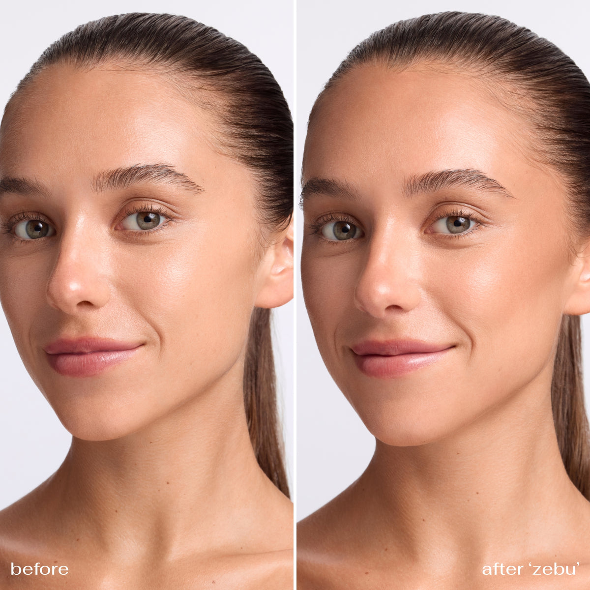 bronze & brush duo